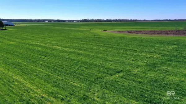 Atmore, AL 36502,Lot 4 Davis Pond Road