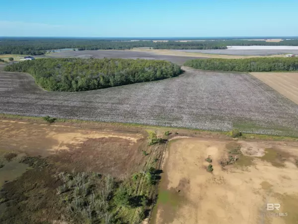 Walnut Hill, FL 32568,00 Highway 99