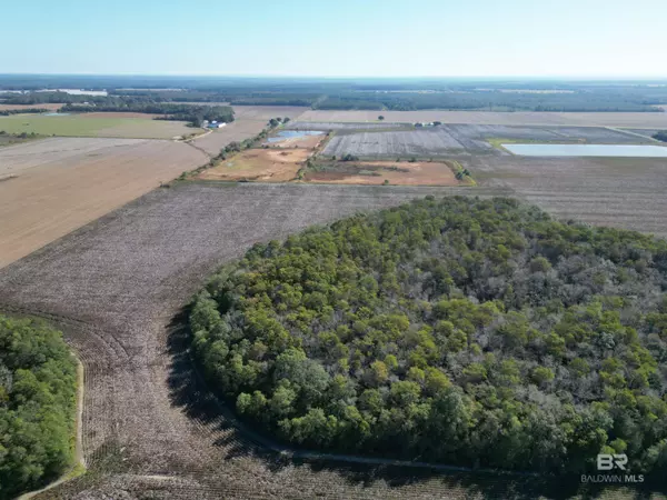 Walnut Hill, FL 32568,00 Highway 99