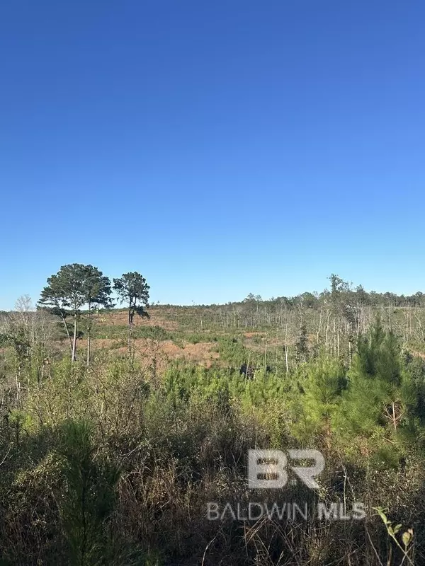 0 Mt Carmel Road, Millry, AL 36558