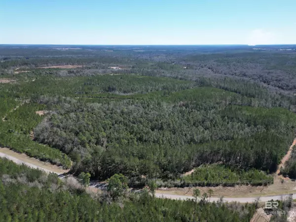 Atmore, AL 36502,06 Robinsonville Road