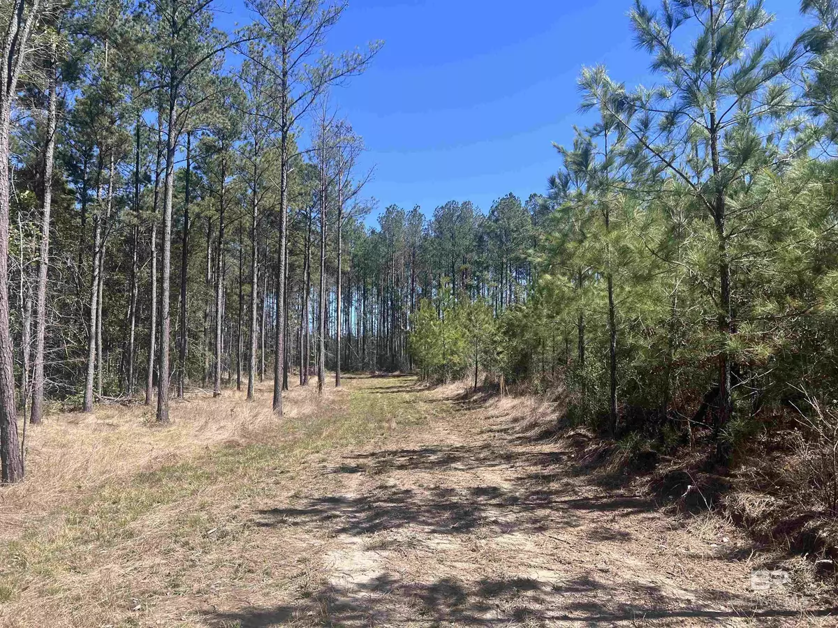 Atmore, AL 36502,03 Robinsonville Road