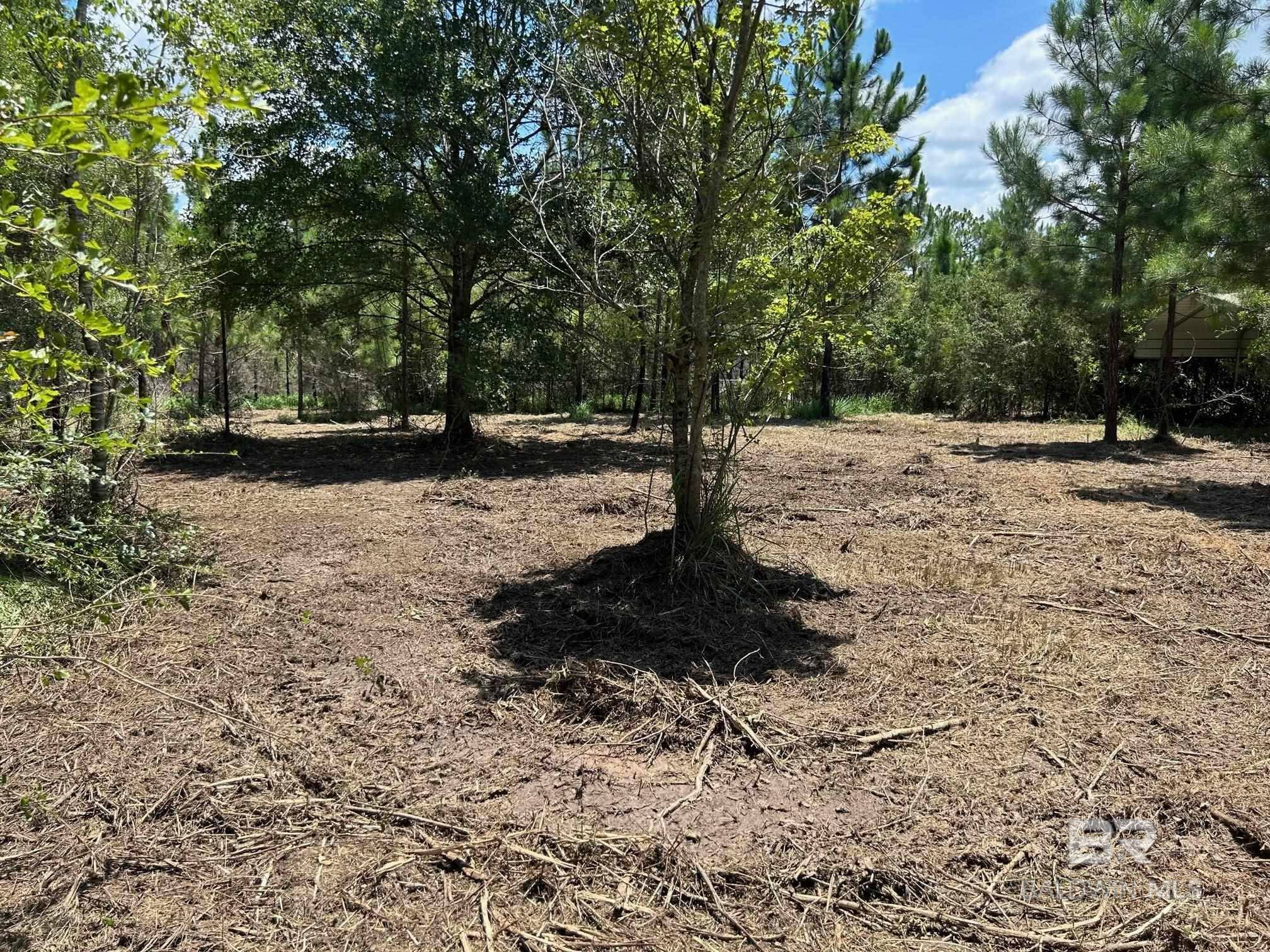 Robertsdale, AL 36567,24769 County Road 87