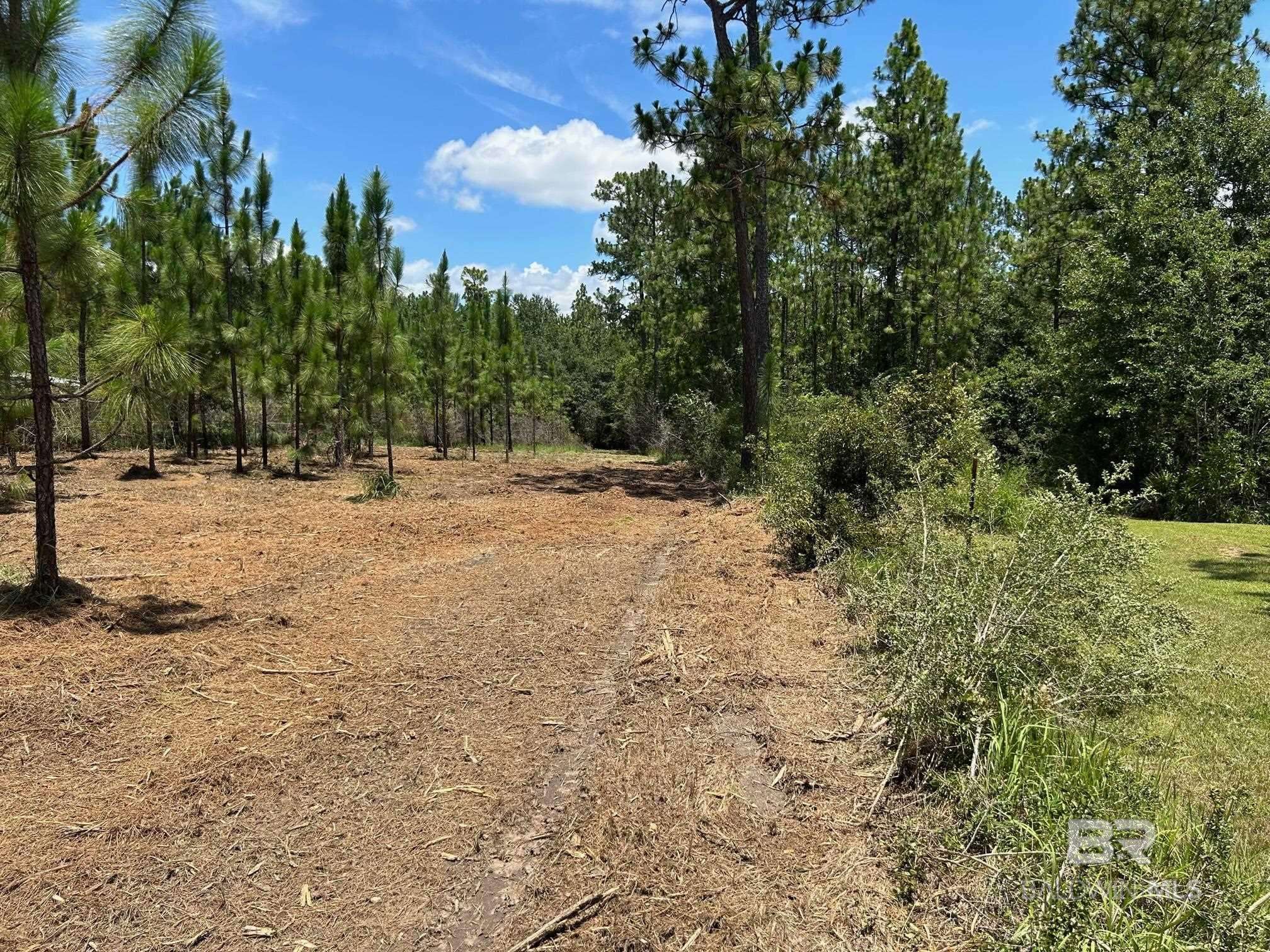 Robertsdale, AL 36567,24769 County Road 87