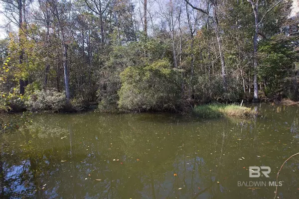 Foley, AL 35635,0 Nolte Creek Drive