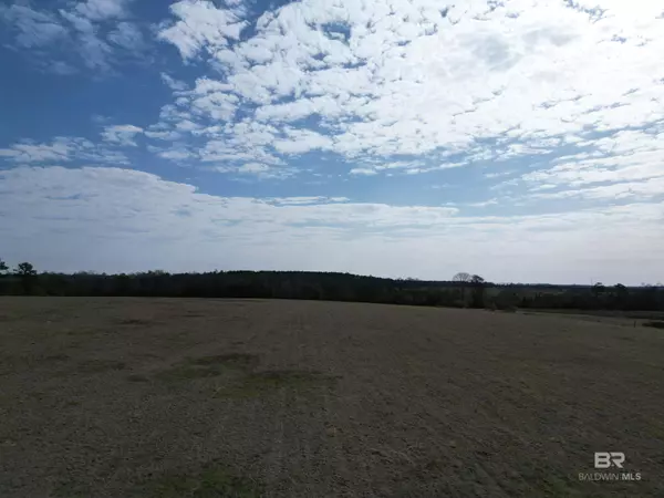 Century, FL 32535,00 Sandy Hollow Road
