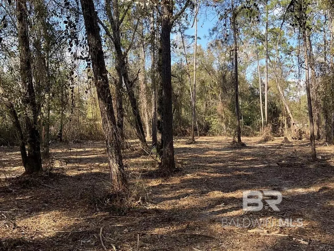 Seminole, AL 36574,32761 W Seminole Road