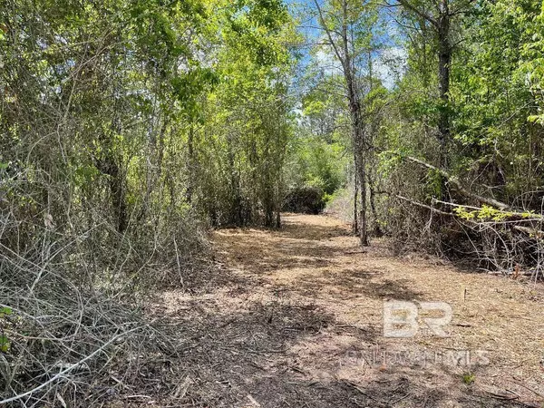 Robertsdale, AL 36567,Glass and Spivey Road