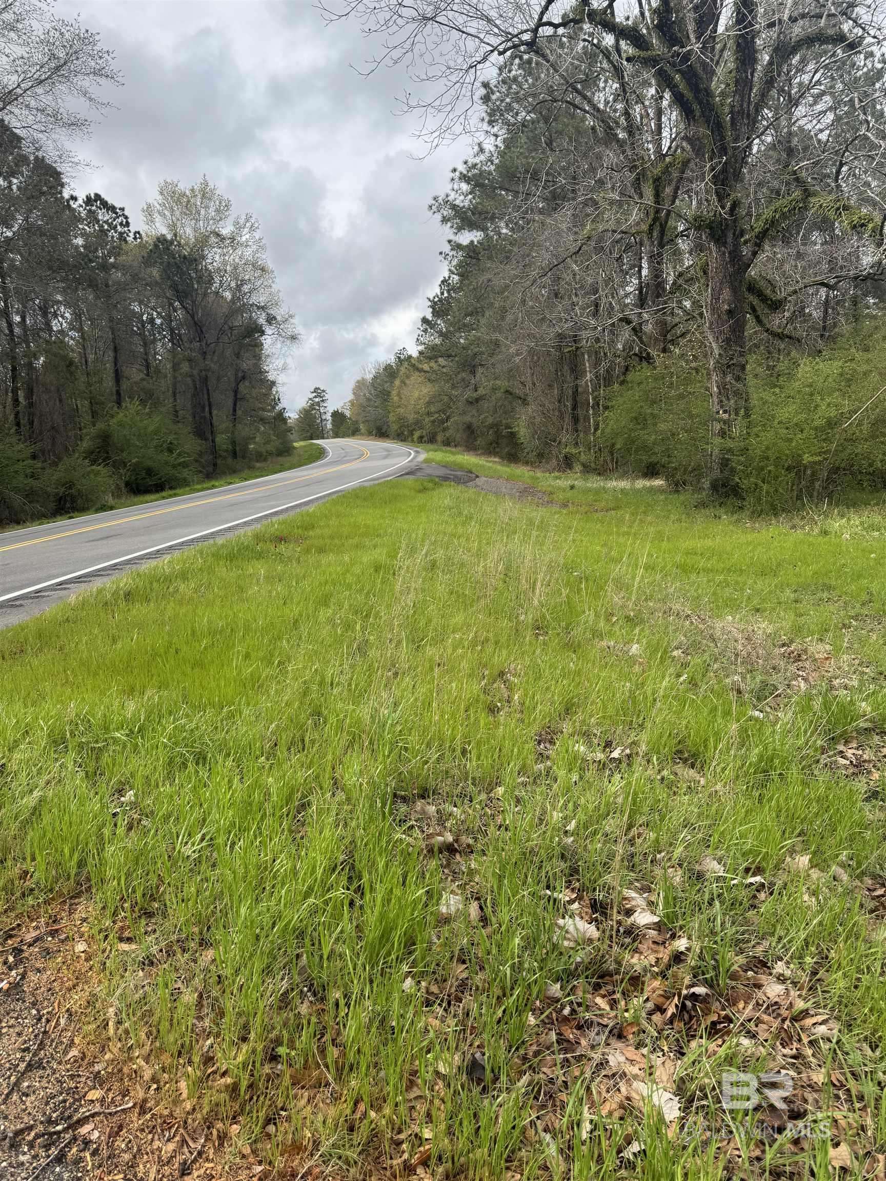 Repton, AL 36475,33950 Highway 41