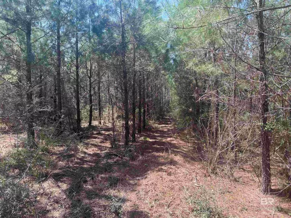 Molino, FL 32577,1000 BLK Highway 97