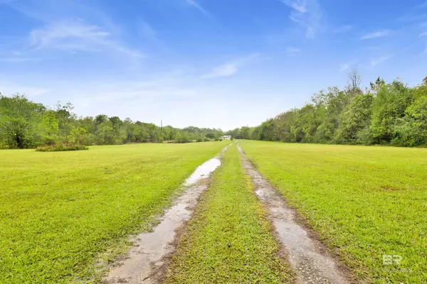 Irvington, AL 36544,10244 Magnolia Road