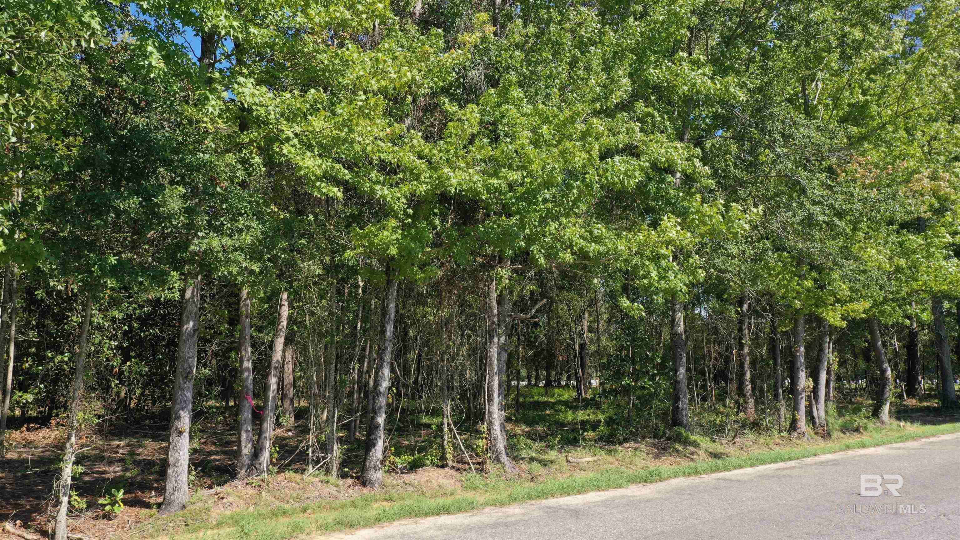 Lot 1 Harris Street, Atmore, AL 36502