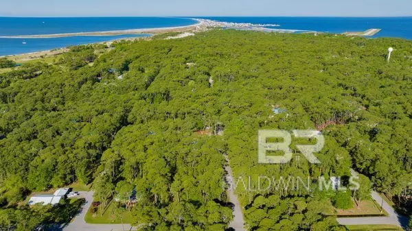 Dauphin Island, AL 36528,801 Infanta Place