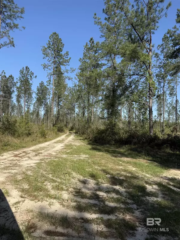 Robertsdale, AL 36567,0 Timber Company Road