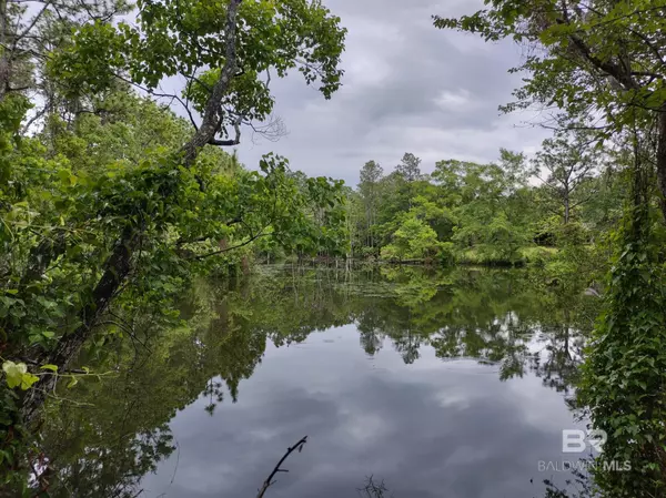Lillian, AL 36549,32771 Antietam Road