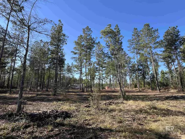 Robertsdale, AL 36567,28490 Goat Cooper Road