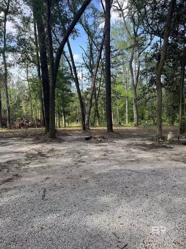 Loxley, AL 36551,17929 County Road 64