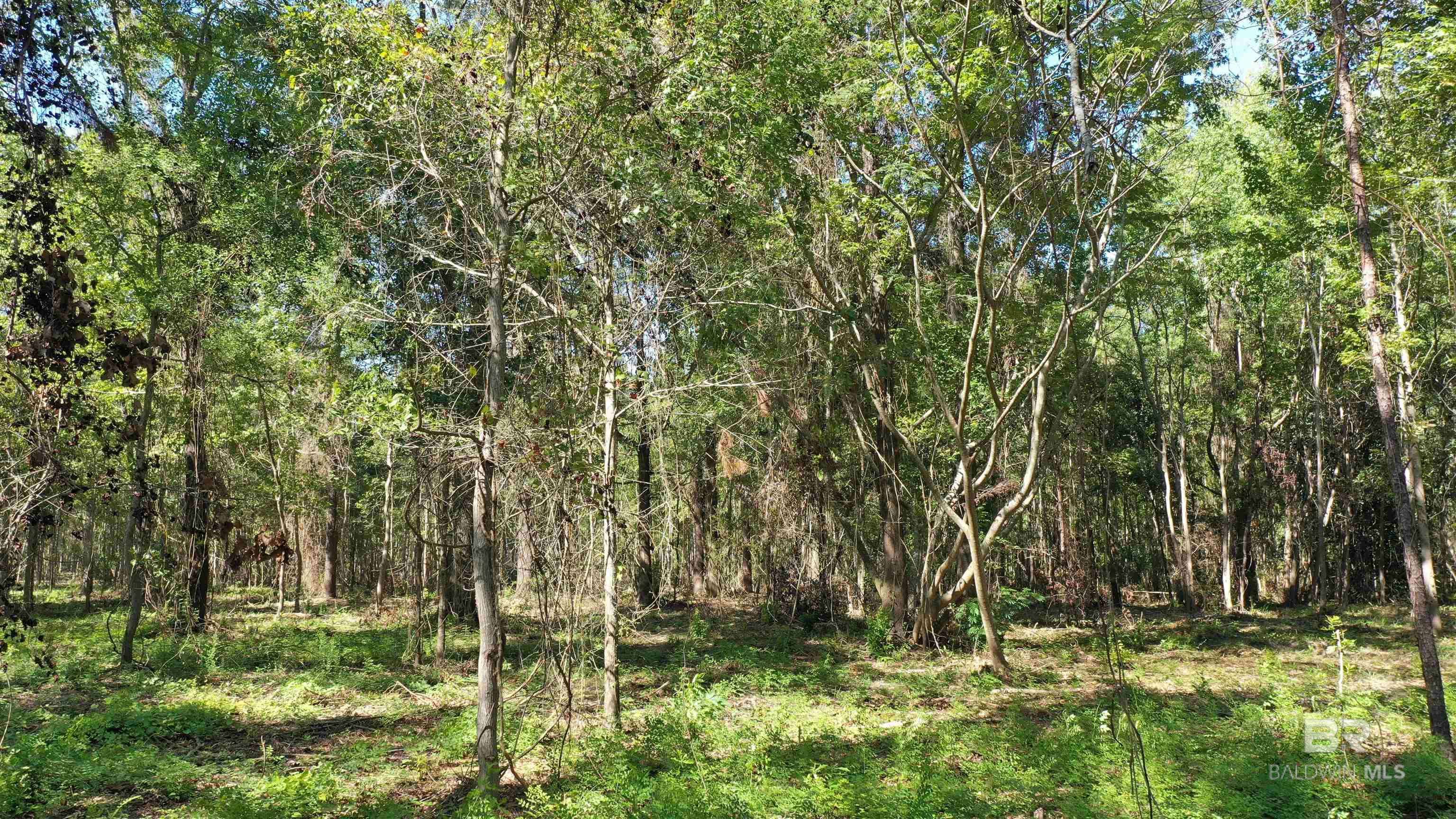 Atmore, AL 36502,Lot 1A Harris Street