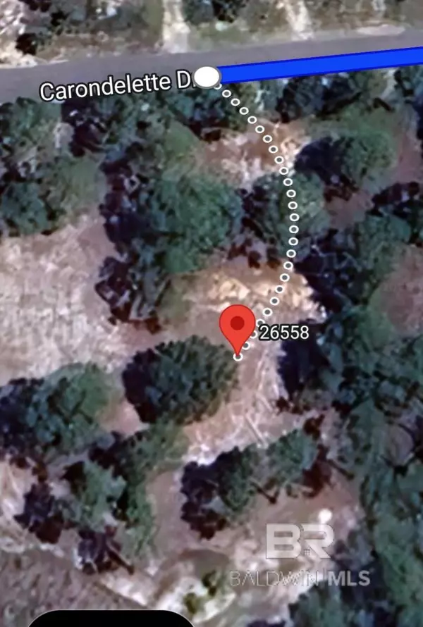 Orange Beach, AL 36561,26558 Carondelette Drive