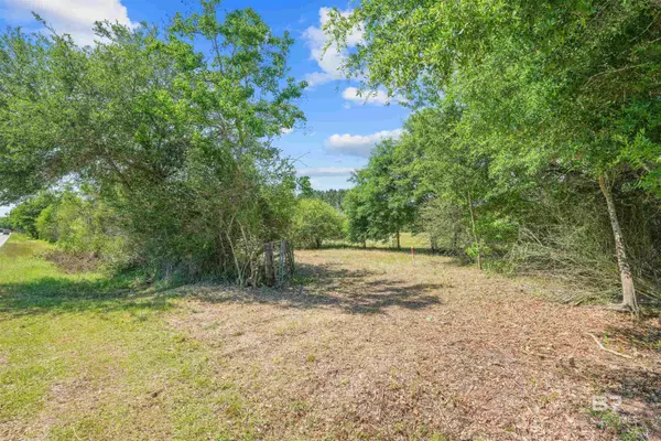 Silverhill, AL 36576,13733 White Road