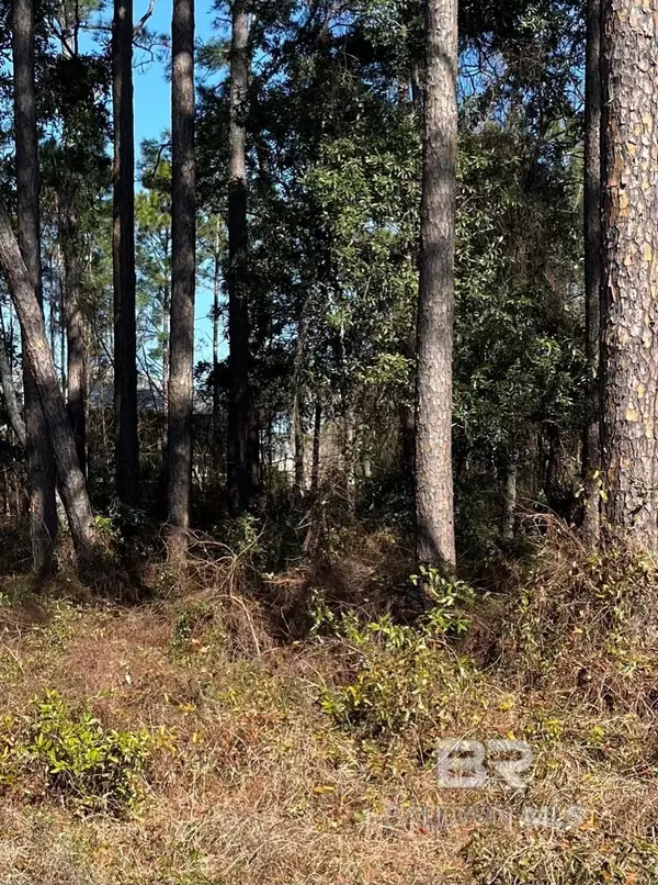 Gulf Shores, AL 36542-2665,16th E A Avenue