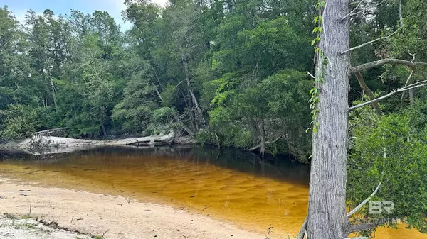 Robertsdale, AL 36567,24781 New Horizons Trail