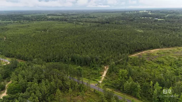 Lot 4 & 5 Lonnie Hadley Road, Perdido, AL 36562