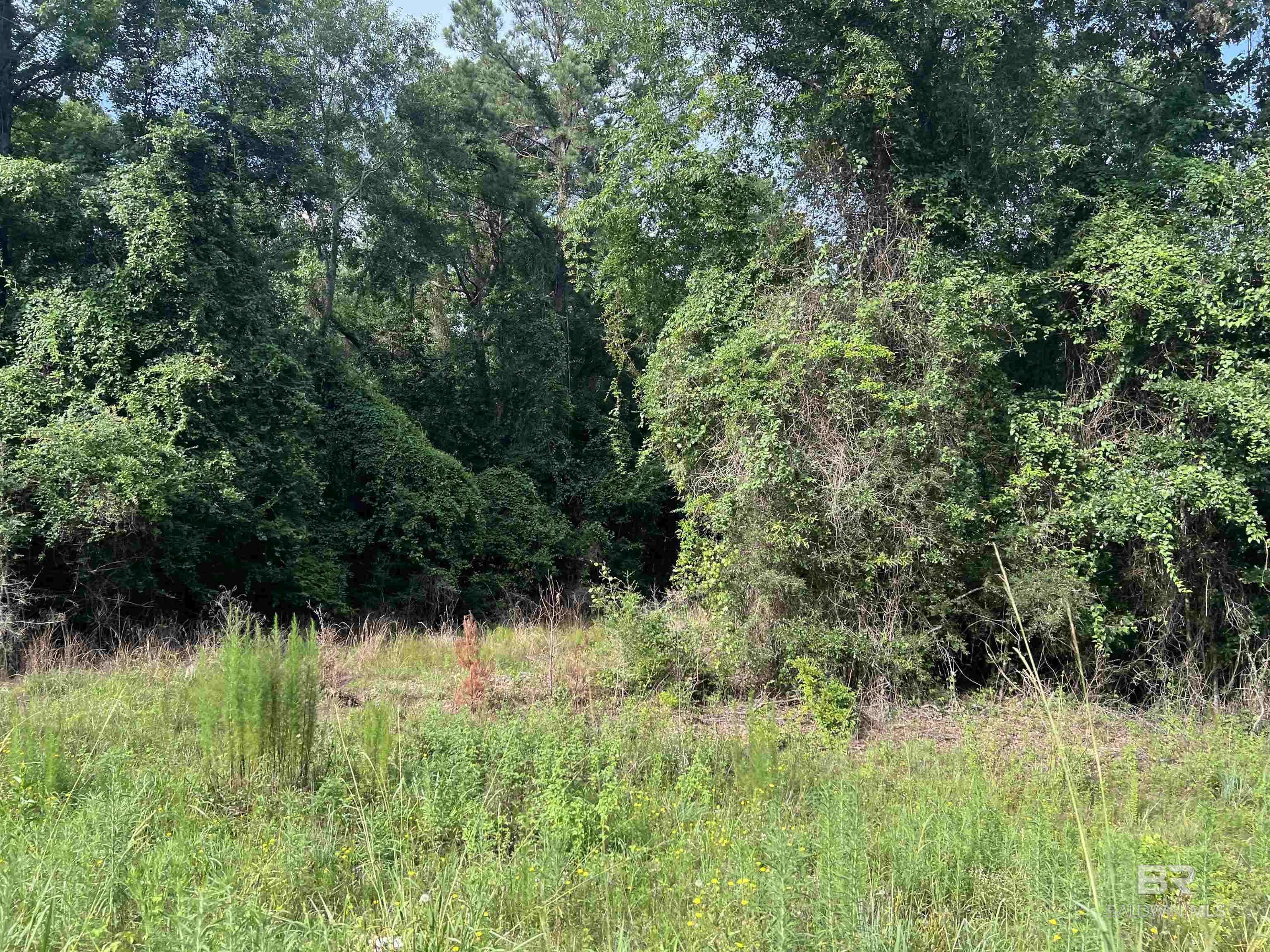 Brewton, AL 36426,17000 Block Highway 41