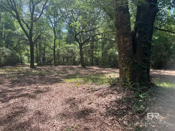 Summerdale, AL 36580,17967 River Road