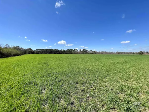 Elberta, AL 36530,0 Pastoral Lane