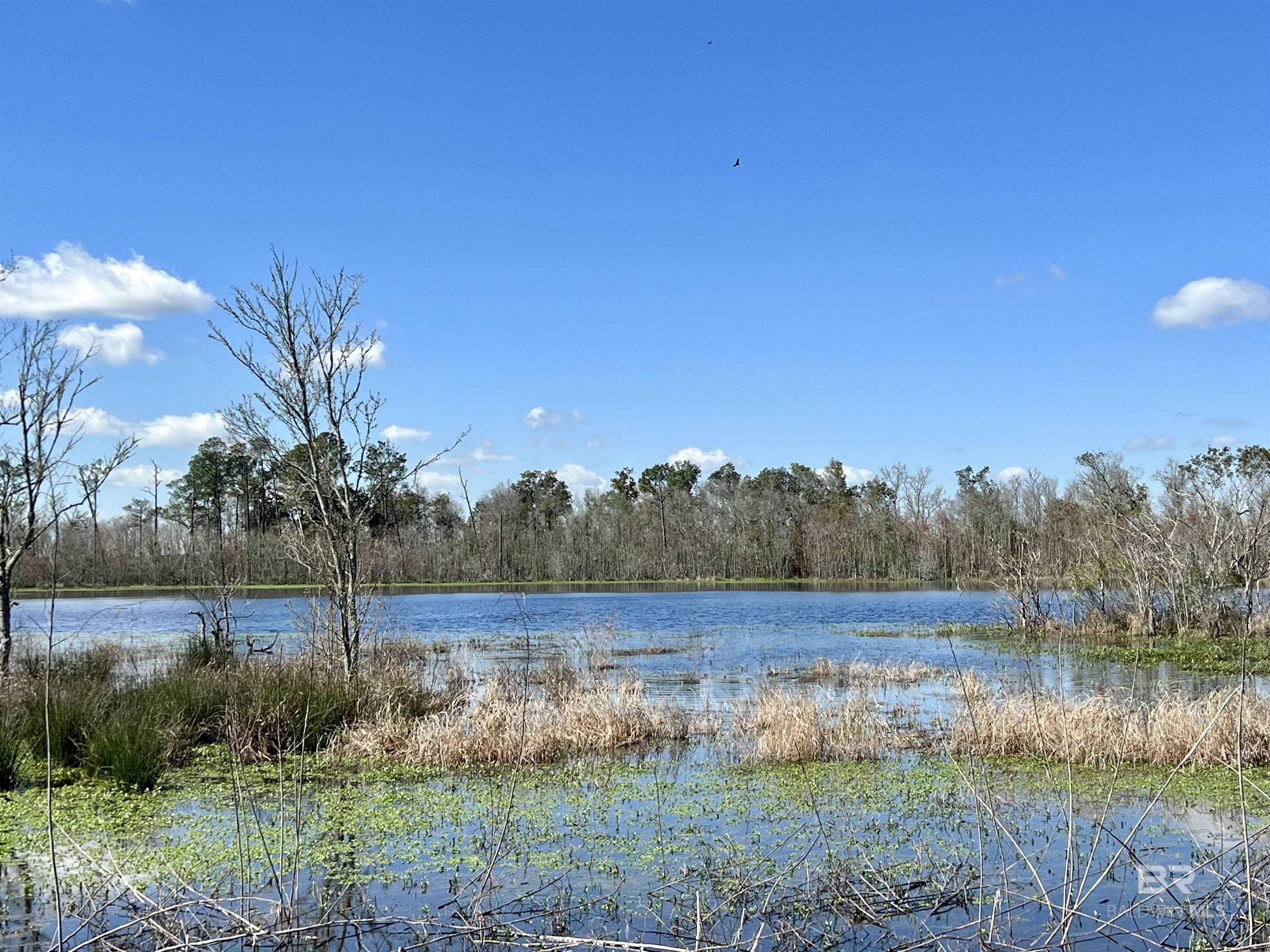 Elberta, AL 36530,0 Pastoral Lane