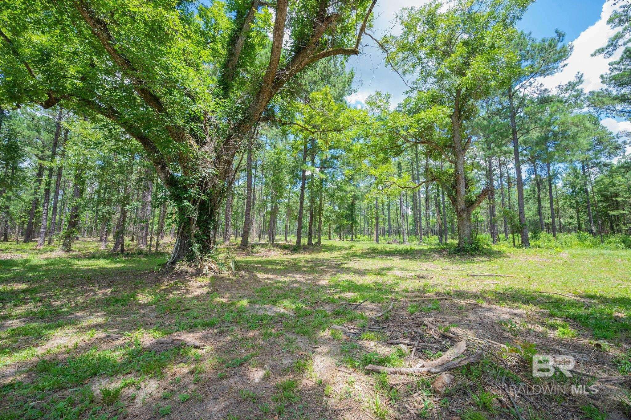 Bay Minette, AL 36507,0 County Road 86