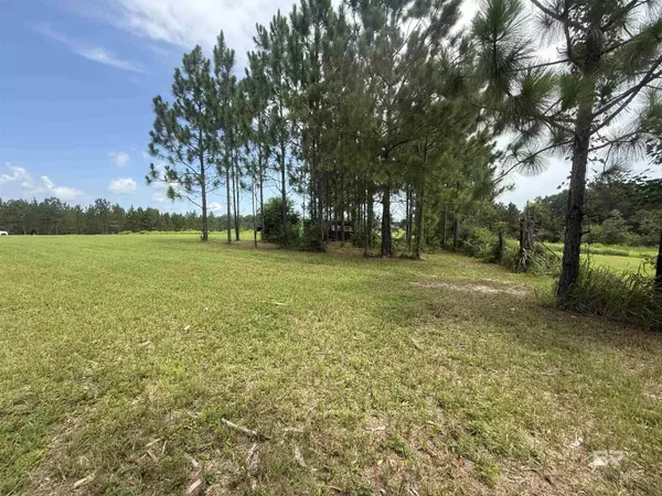 Mobile, AL 36608,54 Hampton Ridge Court