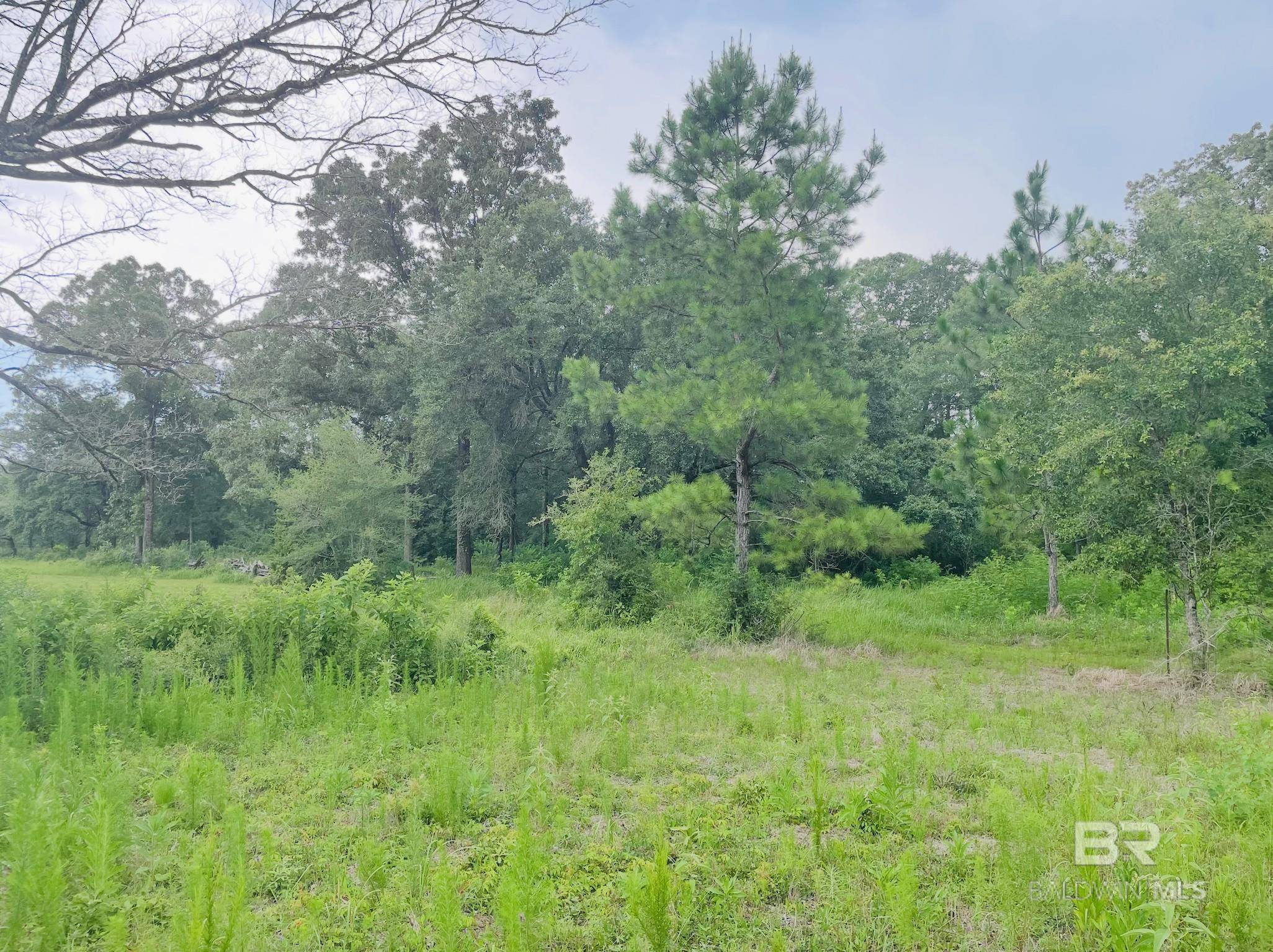 Mobile, AL 36608,0 Hampton Road