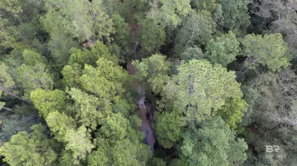 Robertsdale, AL 36567,0 Dry Branch Lane