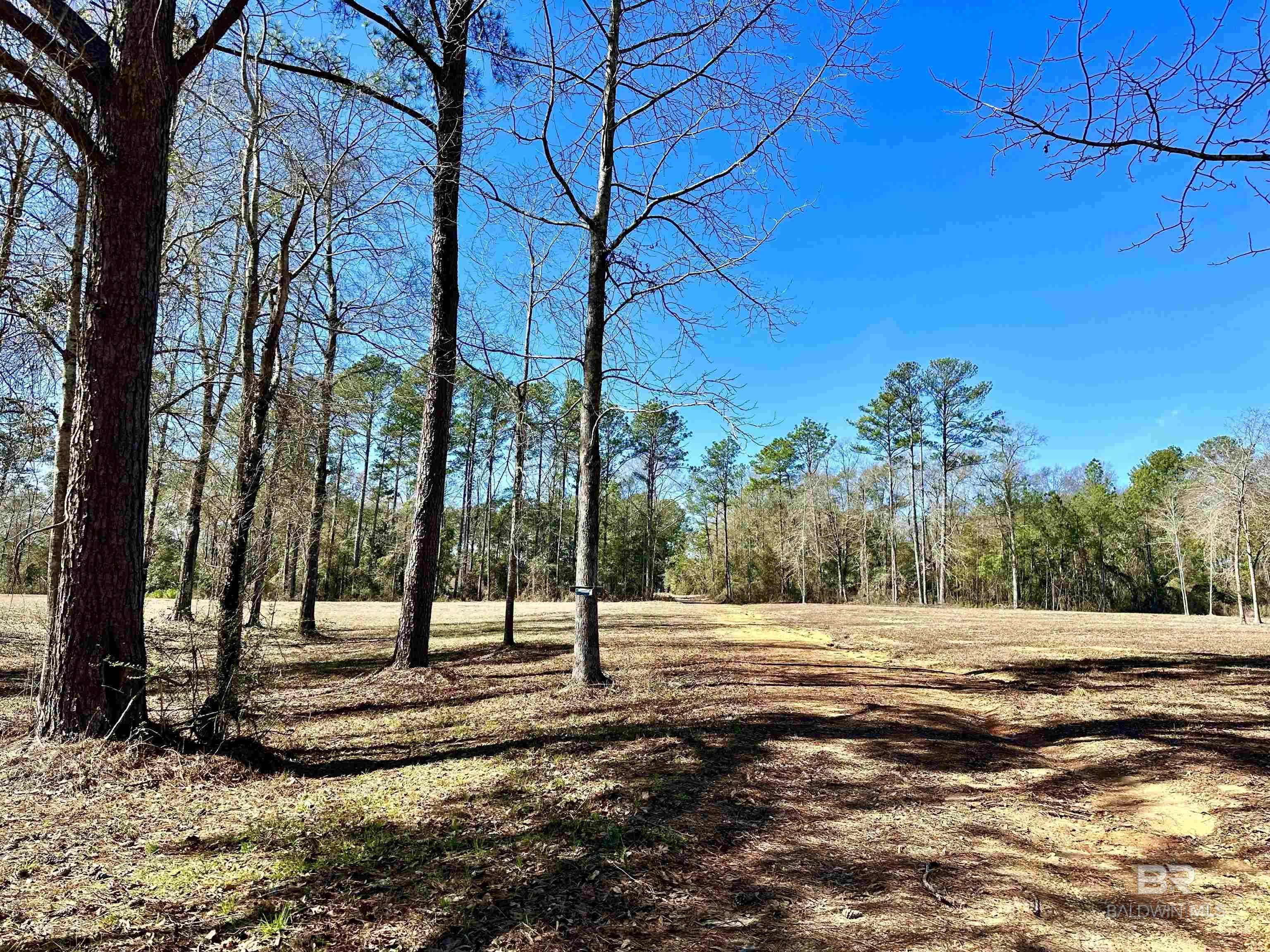 Brewton, AL 36426,3051 Highway 31