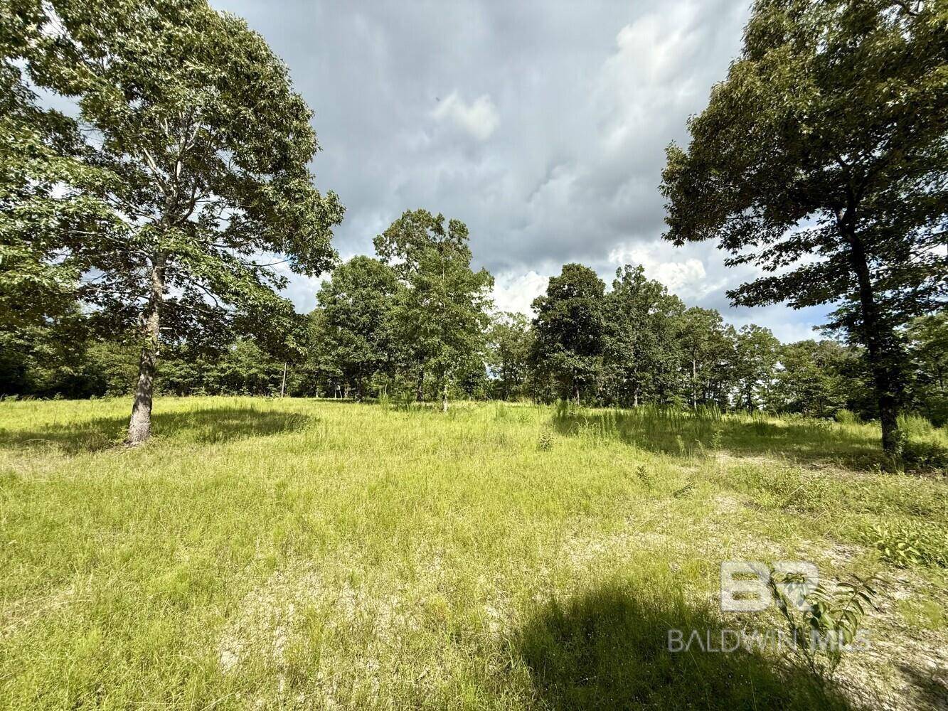 Chatom, AL 36518,5573 County Road 1