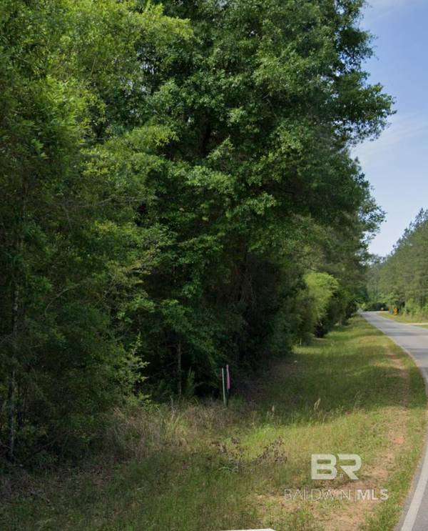0 Byrnes Lake Road, Bay Minette, AL 36507