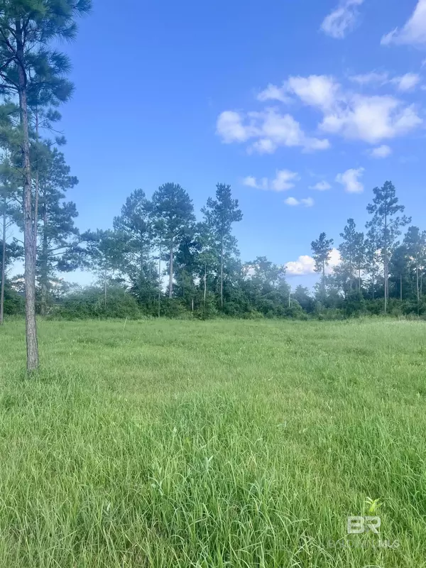 Robertsdale, AL 36567,24736 Linholm Road