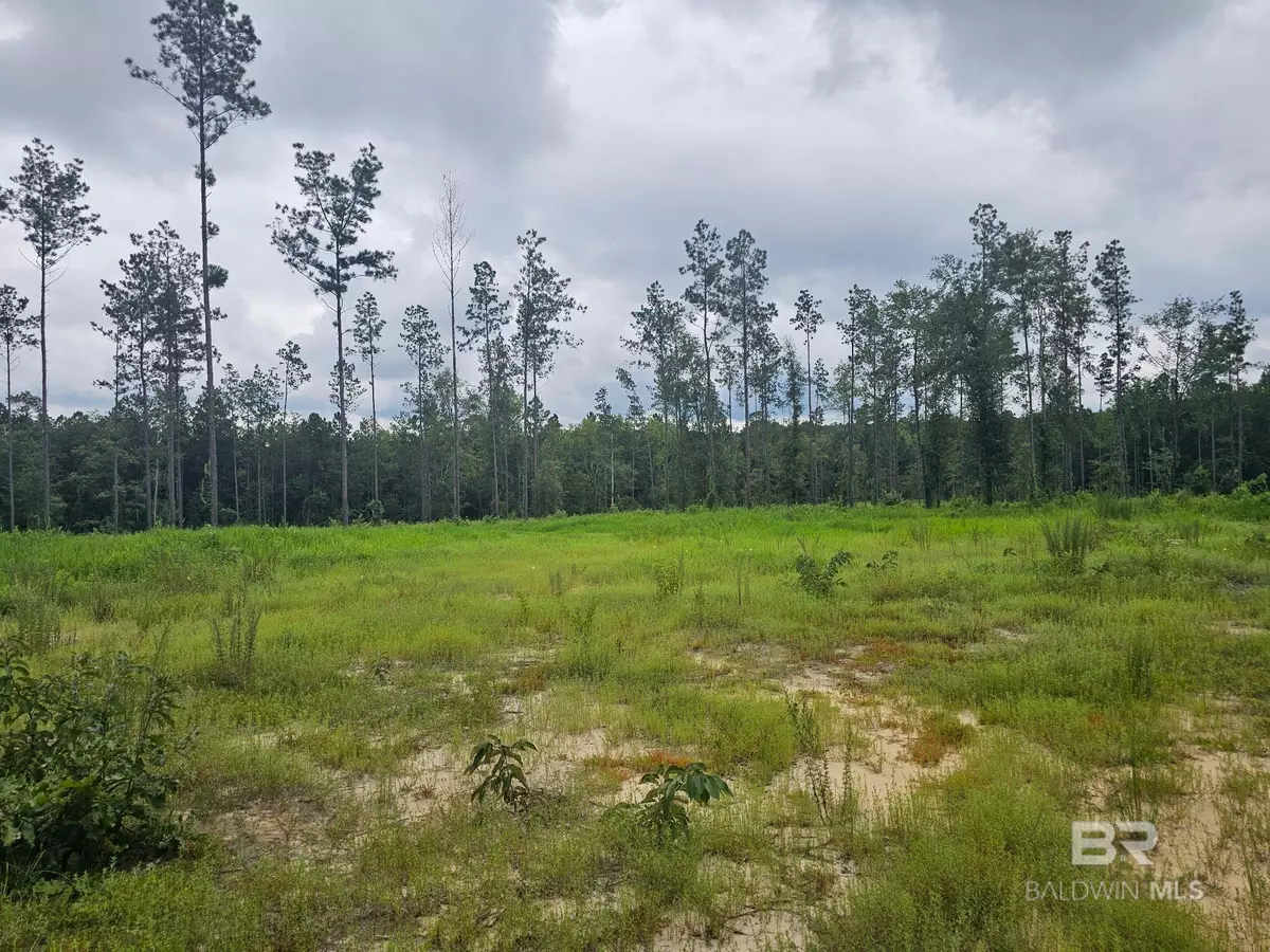 Perdido, AL 36562,23799 Lonnie Hadley Road