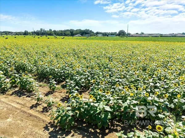 Foley, AL 36535,0 Underwood Road