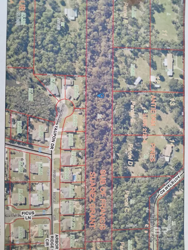 Lillian, AL 36549,33003 Albert Hollon Lane