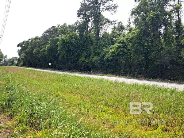 Bay Minette, AL 36507,00000 State Highway 225