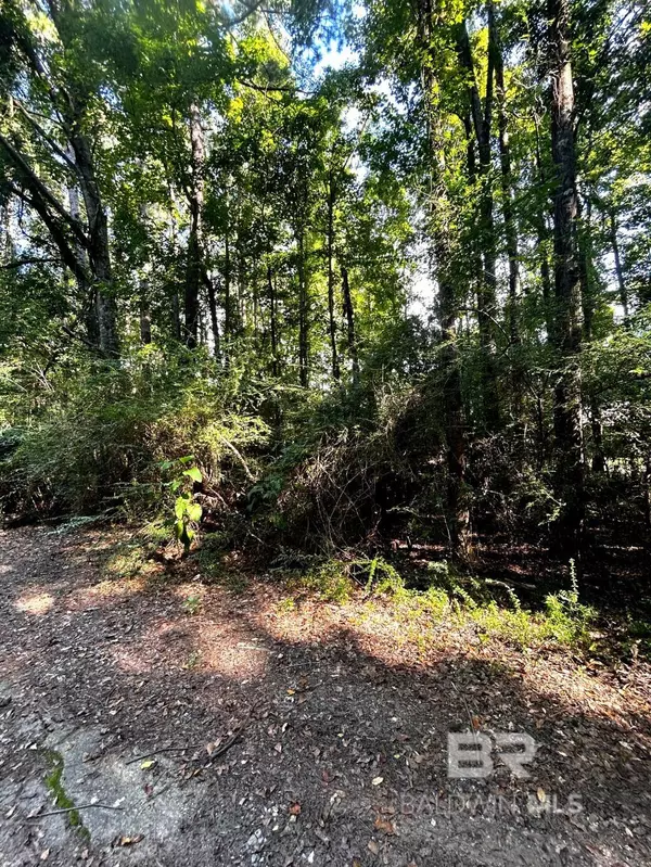 Mount Vernon, AL 36560,20708 Allen Street