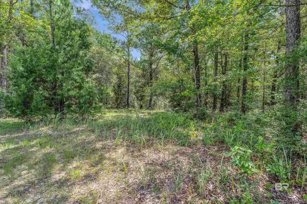 Stapleton, AL 36578,3 ACRES County Road 39