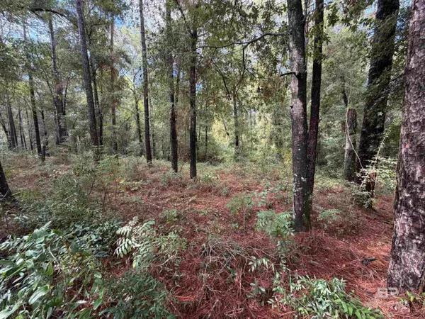 0 Victorian Drive, Fairhope, AL 36532