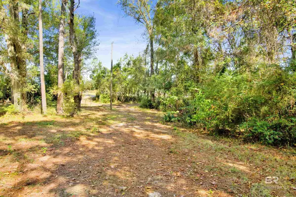 Mobile, AL 36608,7623 Old Shell Road