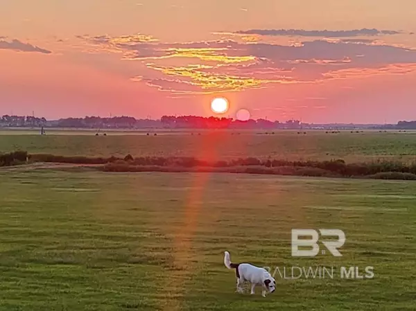 Foley, AL 36535,9521 Norris Lane