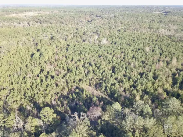 Little River, AL 36550,72510 STATE HIGHWAY 59