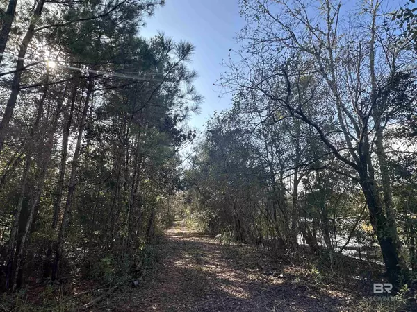 Robertsdale, AL 36567,0 Patterson Road